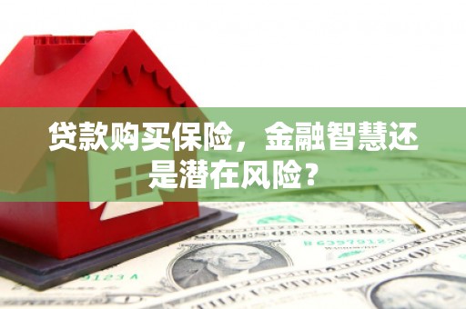 金昌贷款购买保险，金融智慧还是潜在风险？