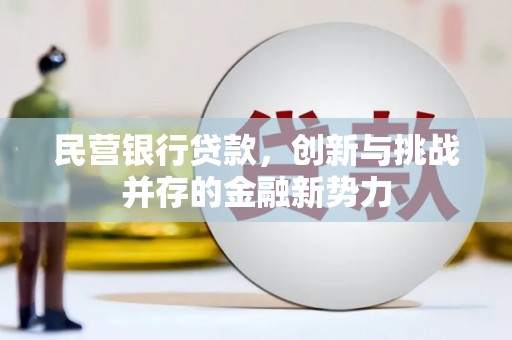金昌民营银行贷款，创新与挑战并存的金融新势力