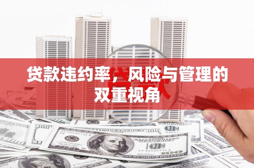 金昌贷款违约率，风险与管理的双重视角