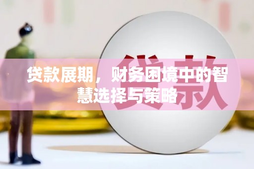 金昌贷款展期，财务困境中的智慧选择与策略