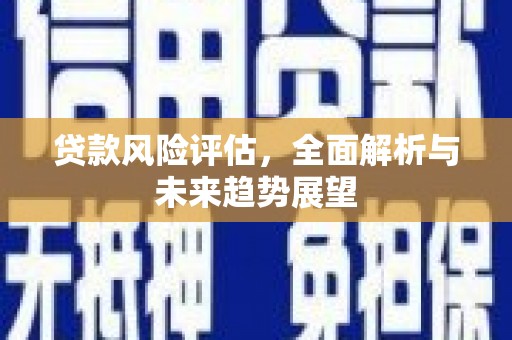 金昌贷款风险评估，全面解析与未来趋势展望