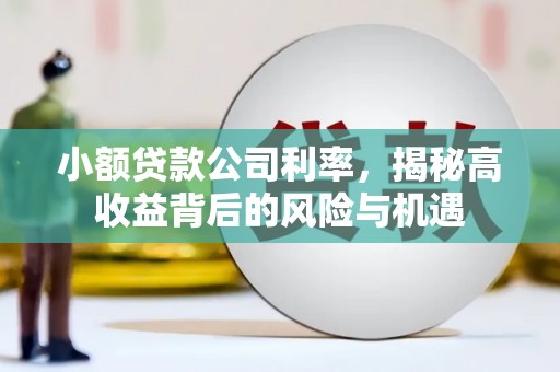 金昌小额贷款公司利率，揭秘高收益背后的风险与机遇