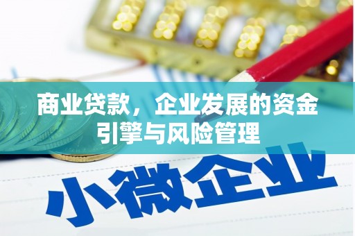 金昌商业贷款，企业发展的资金引擎与风险管理