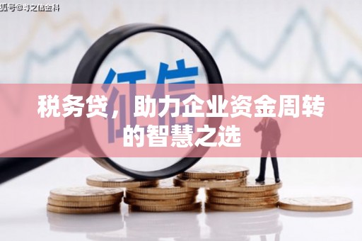 金昌税务贷，助力企业资金周转的智慧之选