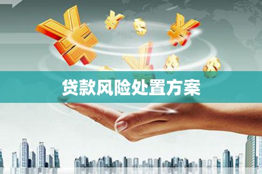 金昌贷款风险处置方案