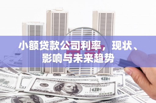 金昌小额贷款公司利率，现状、影响与未来趋势