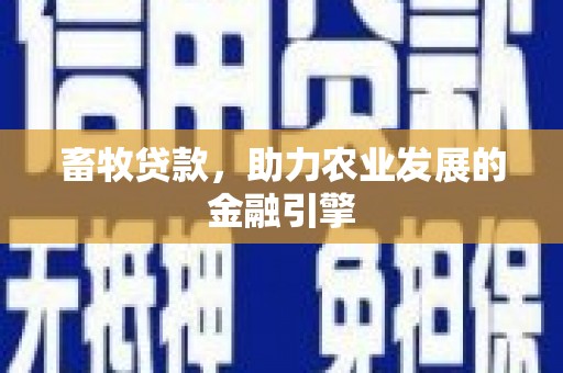 金昌畜牧贷款，助力农业发展的金融引擎