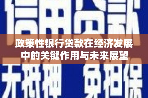 金昌政策性银行贷款在经济发展中的关键作用与未来展望