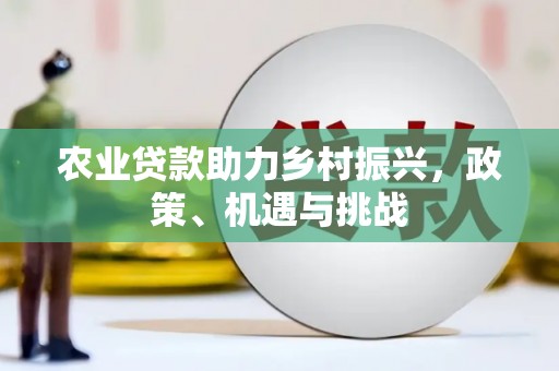 金昌农业贷款助力乡村振兴，政策、机遇与挑战