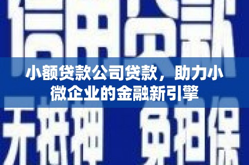 金昌小额贷款公司贷款，助力小微企业的金融新引擎