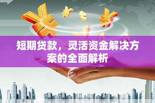 金昌短期贷款，灵活资金解决方案的全面解析