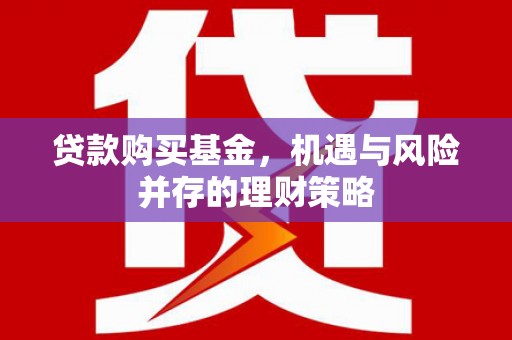 金昌贷款购买基金，机遇与风险并存的理财策略