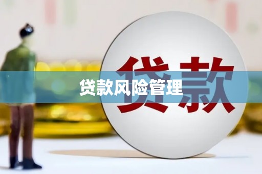 金昌贷款风险管理