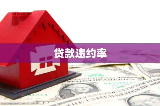 金昌贷款违约率
