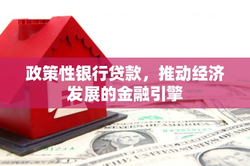 金昌政策性银行贷款，推动经济发展的金融引擎