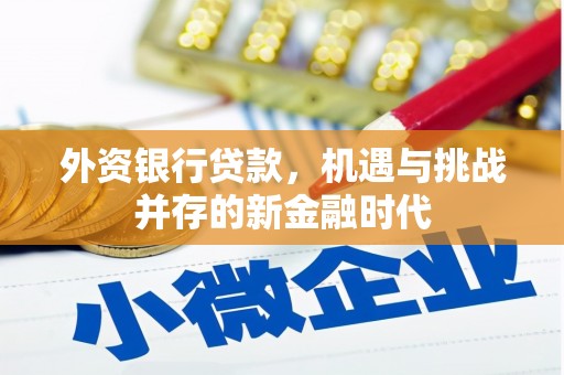 金昌外资银行贷款，机遇与挑战并存的新金融时代