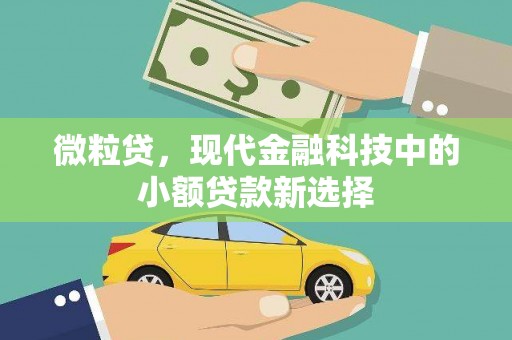 金昌微粒贷，现代金融科技中的小额贷款新选择