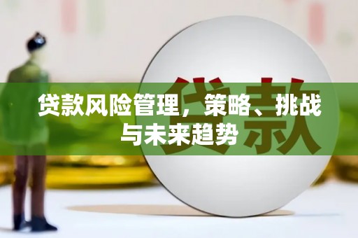 金昌贷款风险管理，策略、挑战与未来趋势