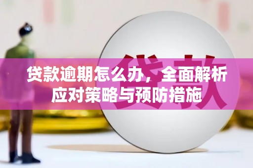 金昌贷款逾期怎么办，全面解析应对策略与预防措施