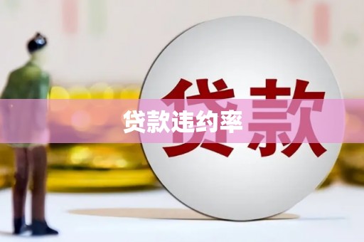 金昌贷款违约率
