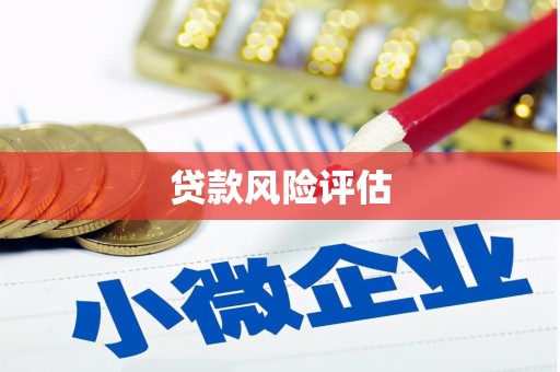 金昌贷款风险评估