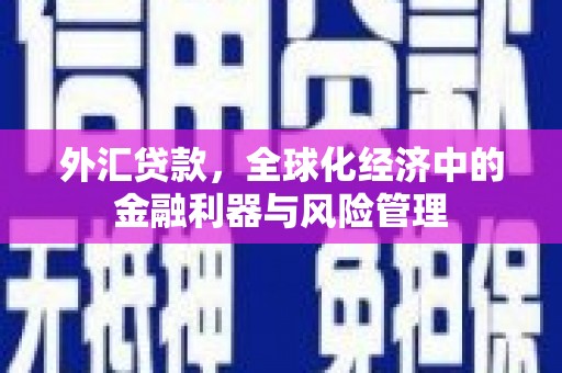 金昌外汇贷款，全球化经济中的金融利器与风险管理