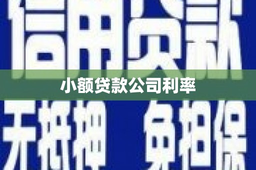 金昌小额贷款公司利率