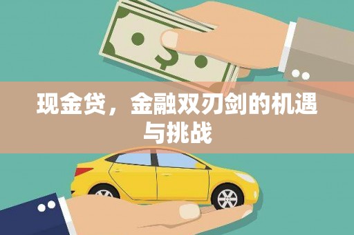 金昌现金贷，金融双刃剑的机遇与挑战