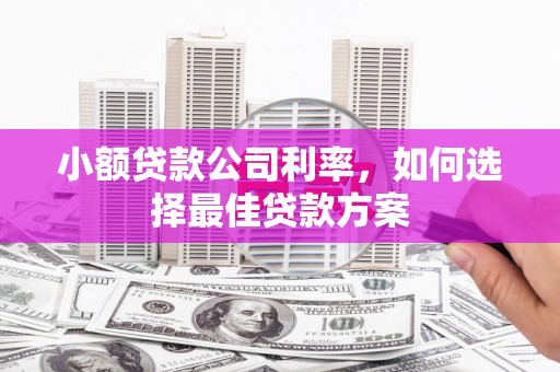 金昌小额贷款公司利率，如何选择最佳贷款方案