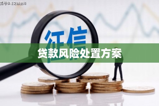 金昌贷款风险处置方案