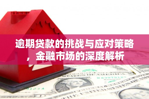 金昌逾期贷款的挑战与应对策略，金融市场的深度解析