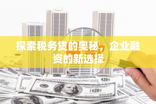 金昌探索税务贷的奥秘，企业融资的新选择