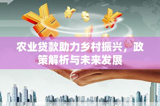 金昌农业贷款助力乡村振兴，政策解析与未来发展