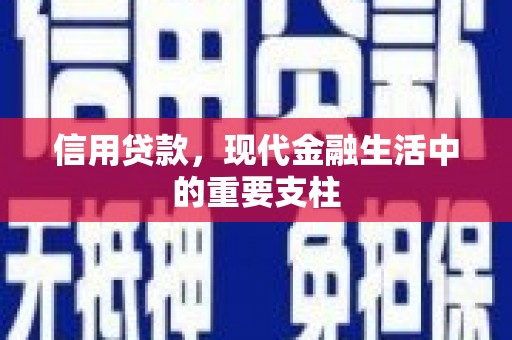 金昌信用贷款，现代金融生活中的重要支柱