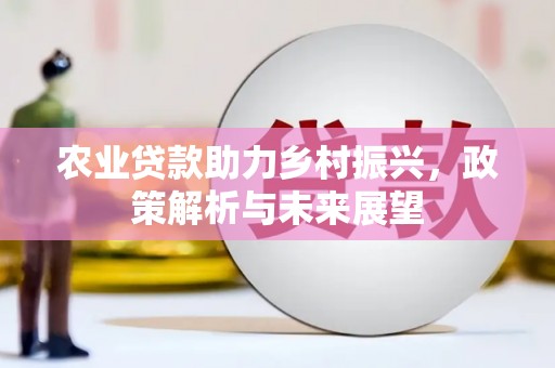 金昌农业贷款助力乡村振兴，政策解析与未来展望
