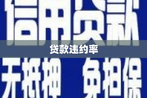 金昌贷款违约率