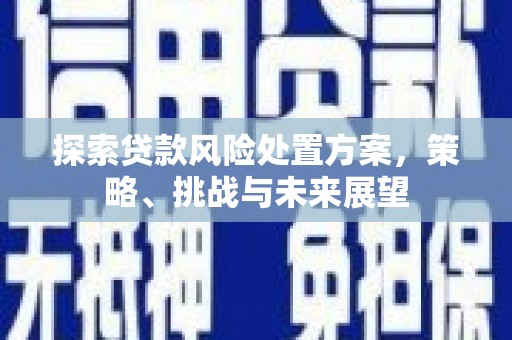 金昌探索贷款风险处置方案，策略、挑战与未来展望