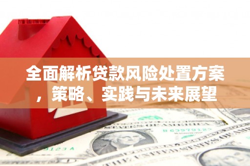 金昌全面解析贷款风险处置方案，策略、实践与未来展望