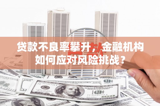 金昌贷款不良率攀升，金融机构如何应对风险挑战？