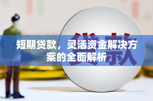 金昌短期贷款，灵活资金解决方案的全面解析