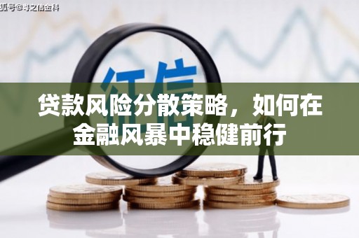 金昌贷款风险分散策略，如何在金融风暴中稳健前行