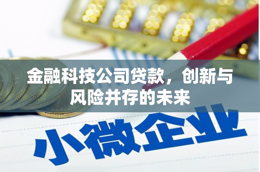 金昌金融科技公司贷款，创新与风险并存的未来