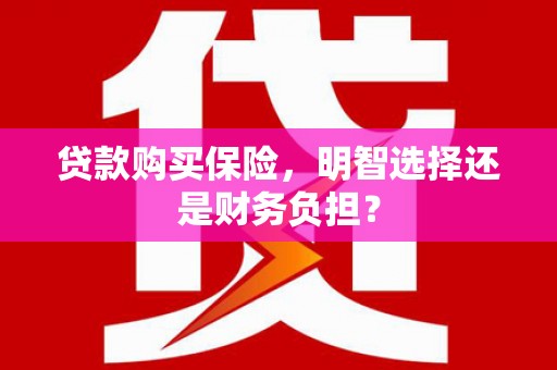 金昌贷款购买保险，明智选择还是财务负担？