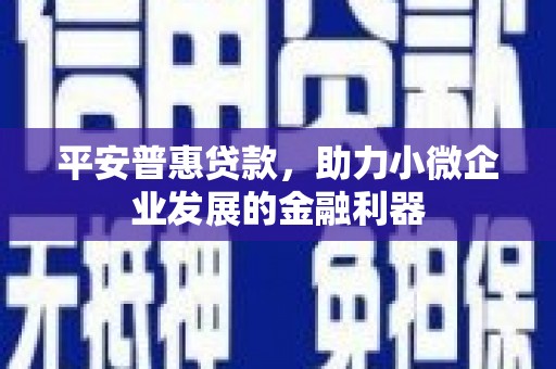 金昌平安普惠贷款，助力小微企业发展的金融利器