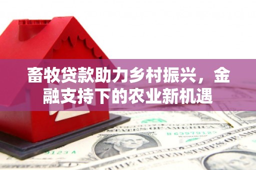 金昌畜牧贷款助力乡村振兴，金融支持下的农业新机遇