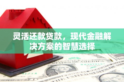 金昌灵活还款贷款，现代金融解决方案的智慧选择