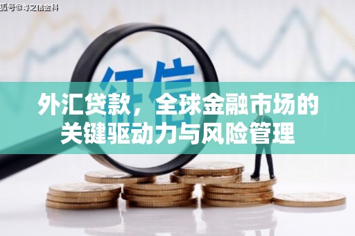 金昌外汇贷款，全球金融市场的关键驱动力与风险管理