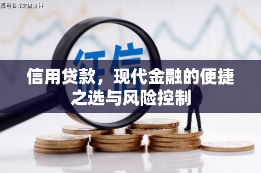 金昌信用贷款，现代金融的便捷之选与风险控制