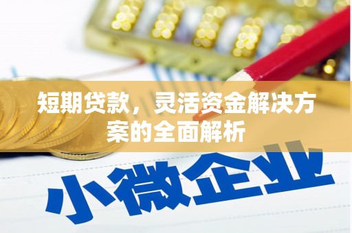 金昌短期贷款，灵活资金解决方案的全面解析