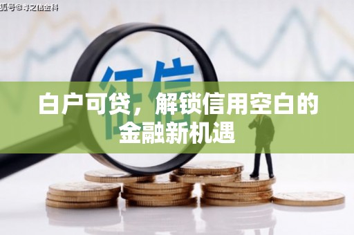 金昌白户可贷，解锁信用空白的金融新机遇